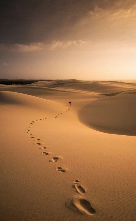 Dancing in The Desert